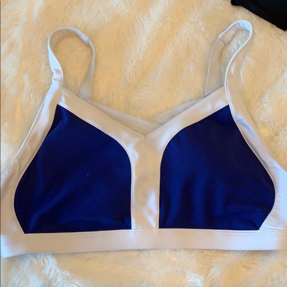 Fabletics L Sports Bra!